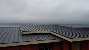 Best Green or Eco-Friendly Roofing Solutions  in Big Rapids, MI